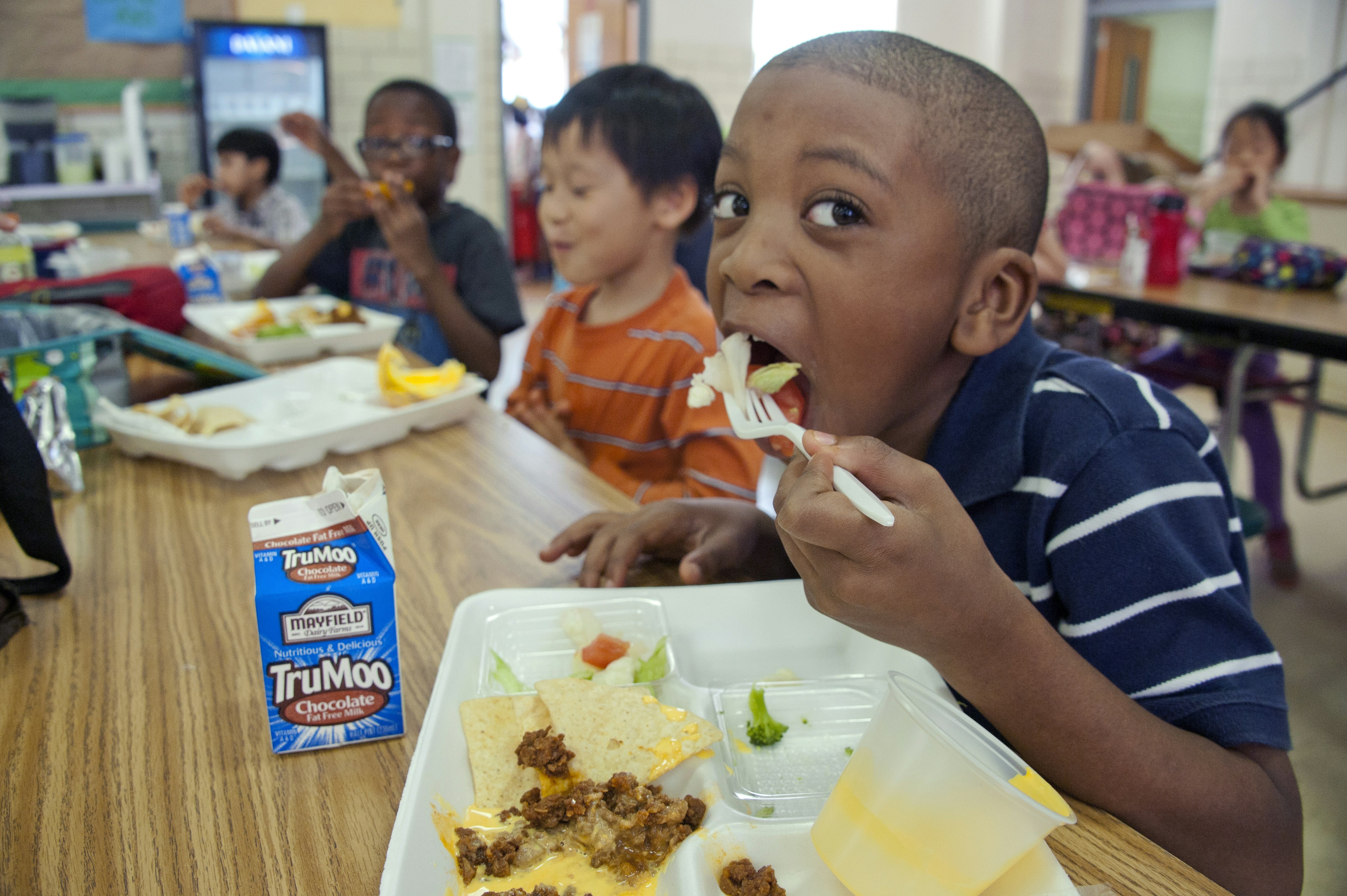 School Choice Guide